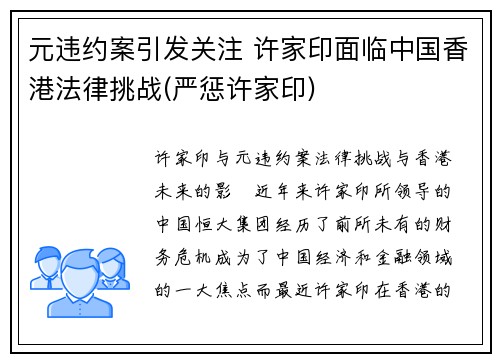 元违约案引发关注 许家印面临中国香港法律挑战(严惩许家印)